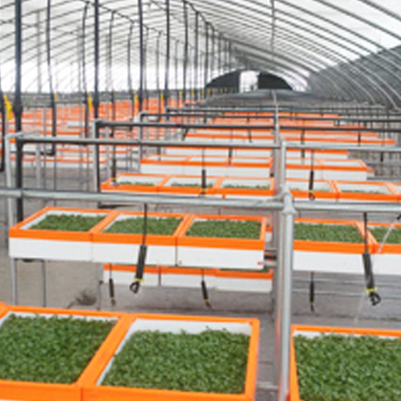 幻燈片標(biāo)題